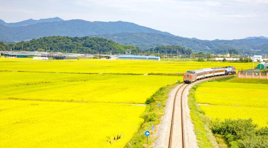 私たちの在庫には、さまざまな種類の車両が含まれています。